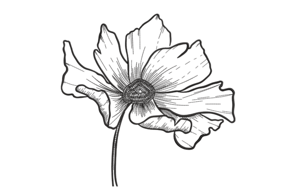 Minimal Botanical Flower Line Art