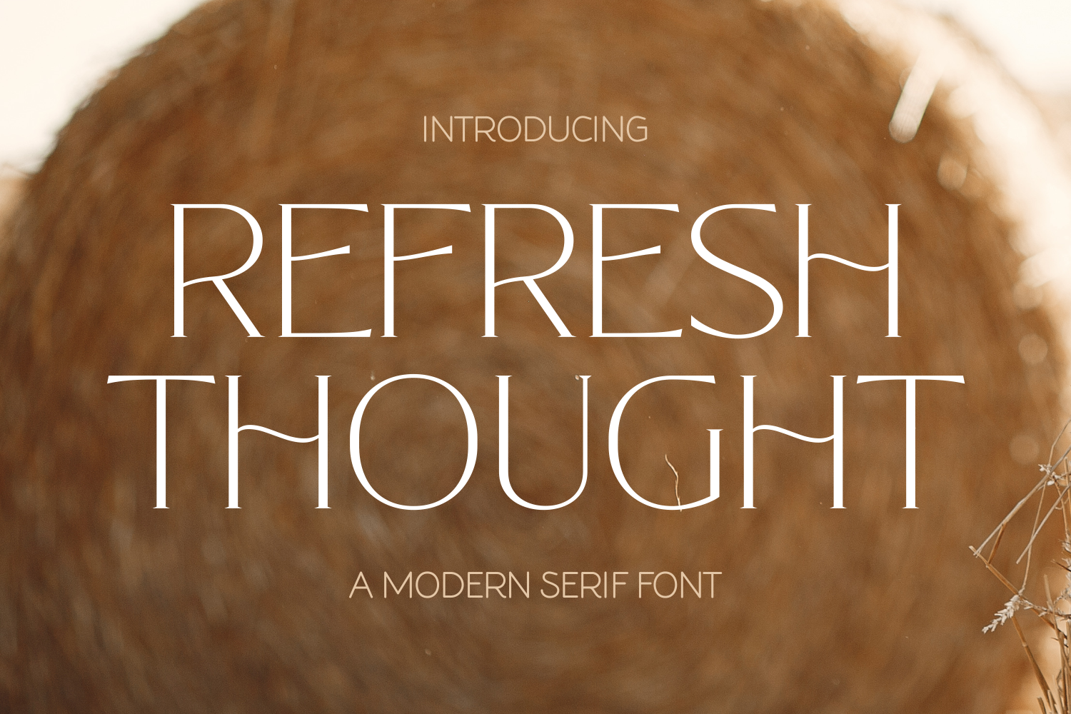 Refresh Thought preview, placeholder image