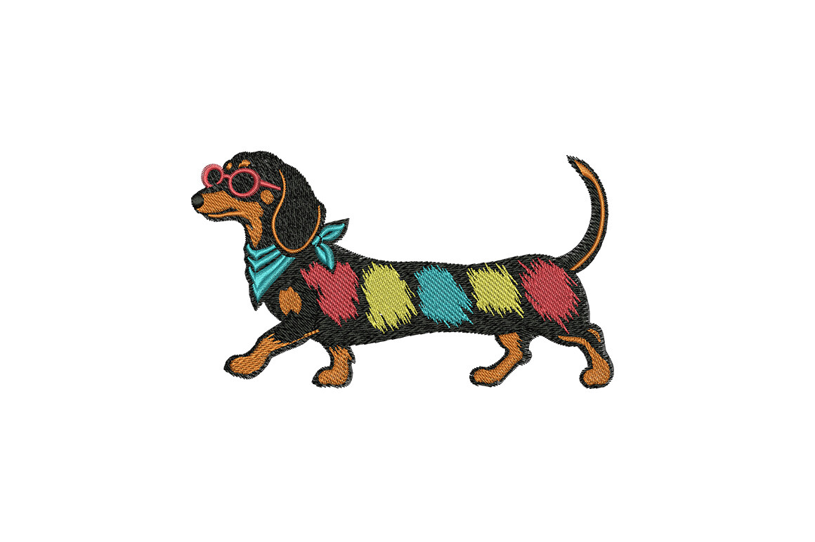 Colorful Sausage Dog
