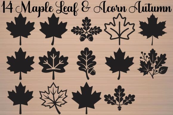 Maple Leaf Acorn Autumn Graphics