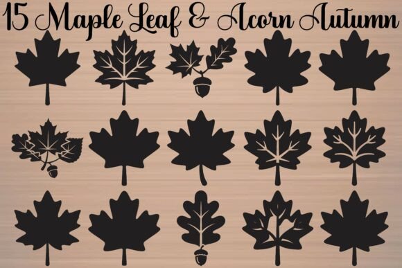Maple Leaf Acorn Autumn Graphics