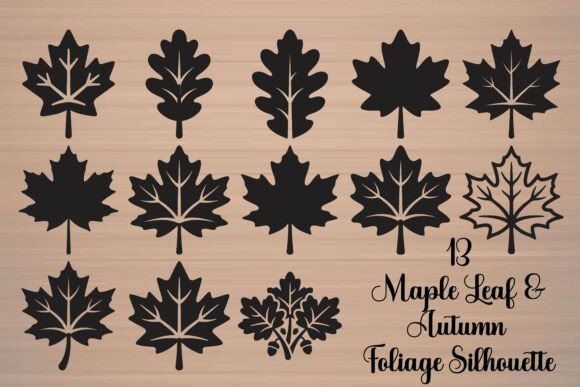 Maple Leaf Autumn Foliage Graphics