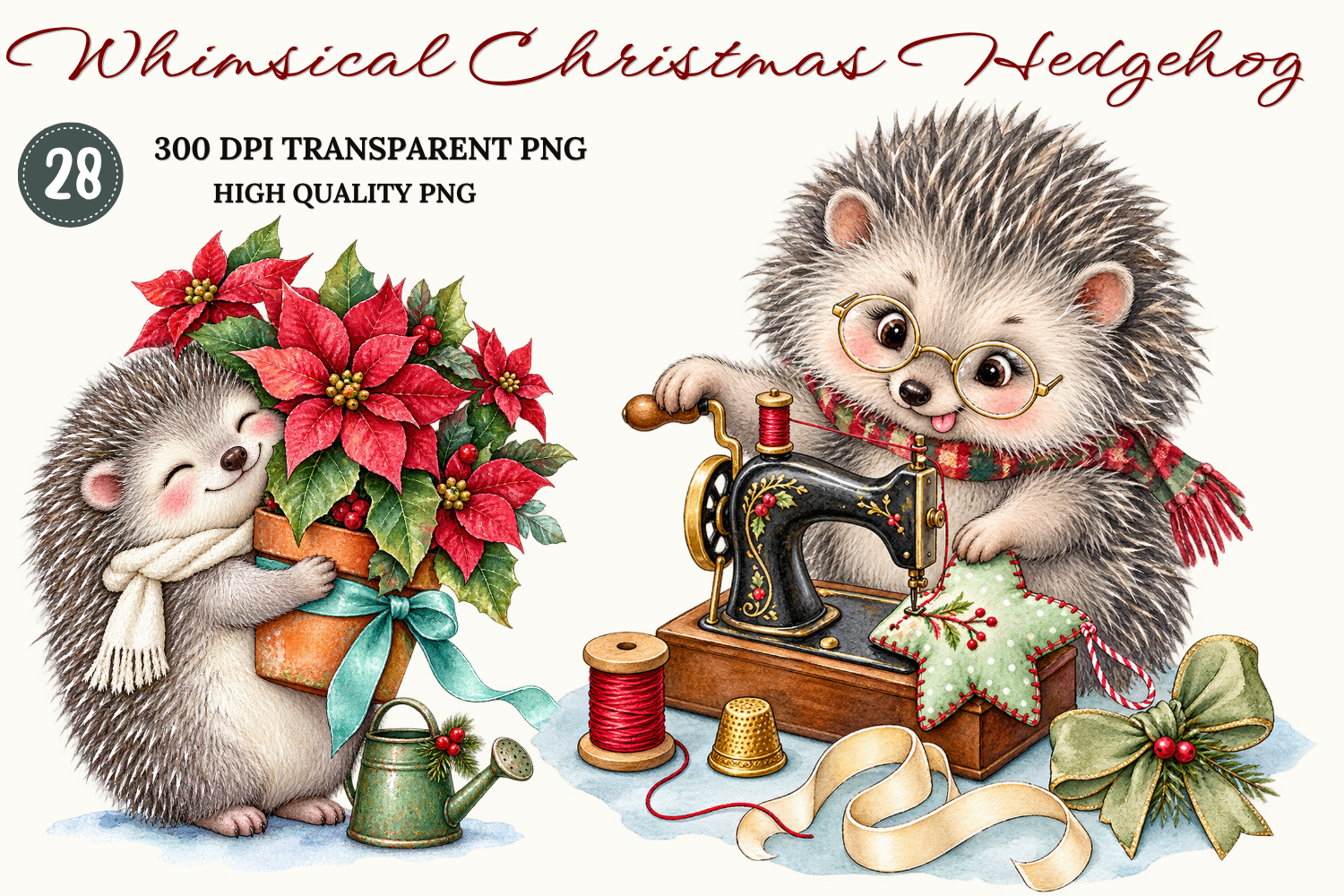 Whimsical Christmas Hedgehog PNG Bundle