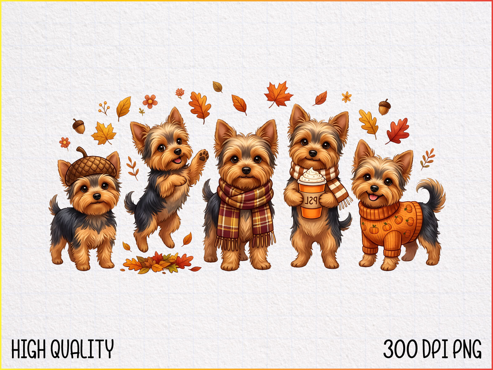 Cute Yorkie Dogs Fall Autumn PNG