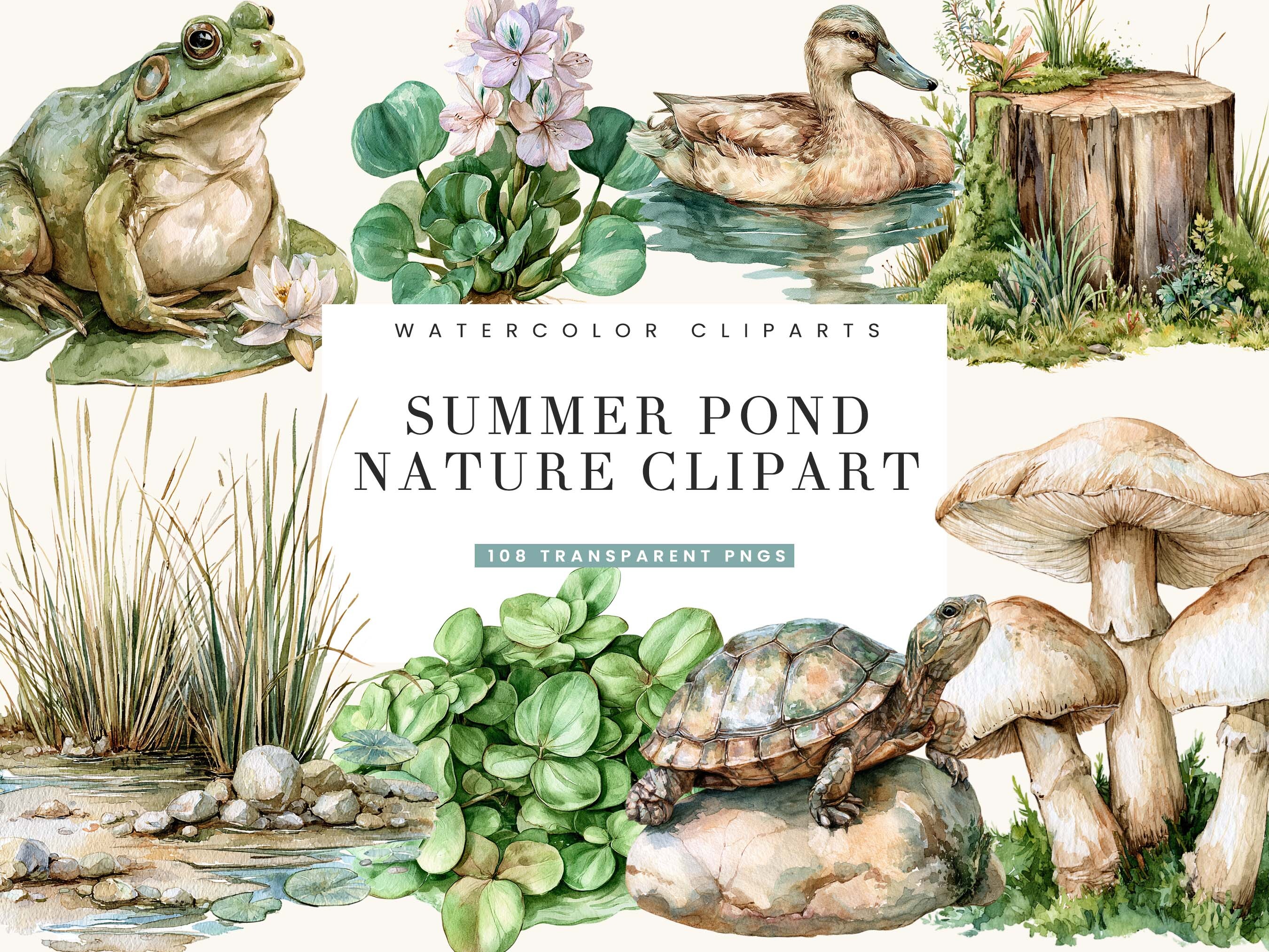 Watercolor Summer Pond Nature Clipart