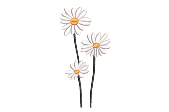 Three Daisy Flowers