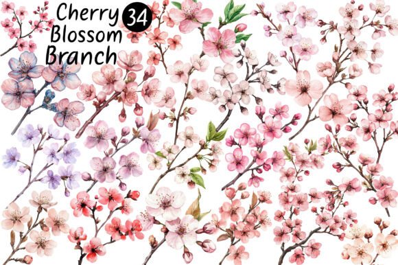 Cherry Blossom Branch Clipart
