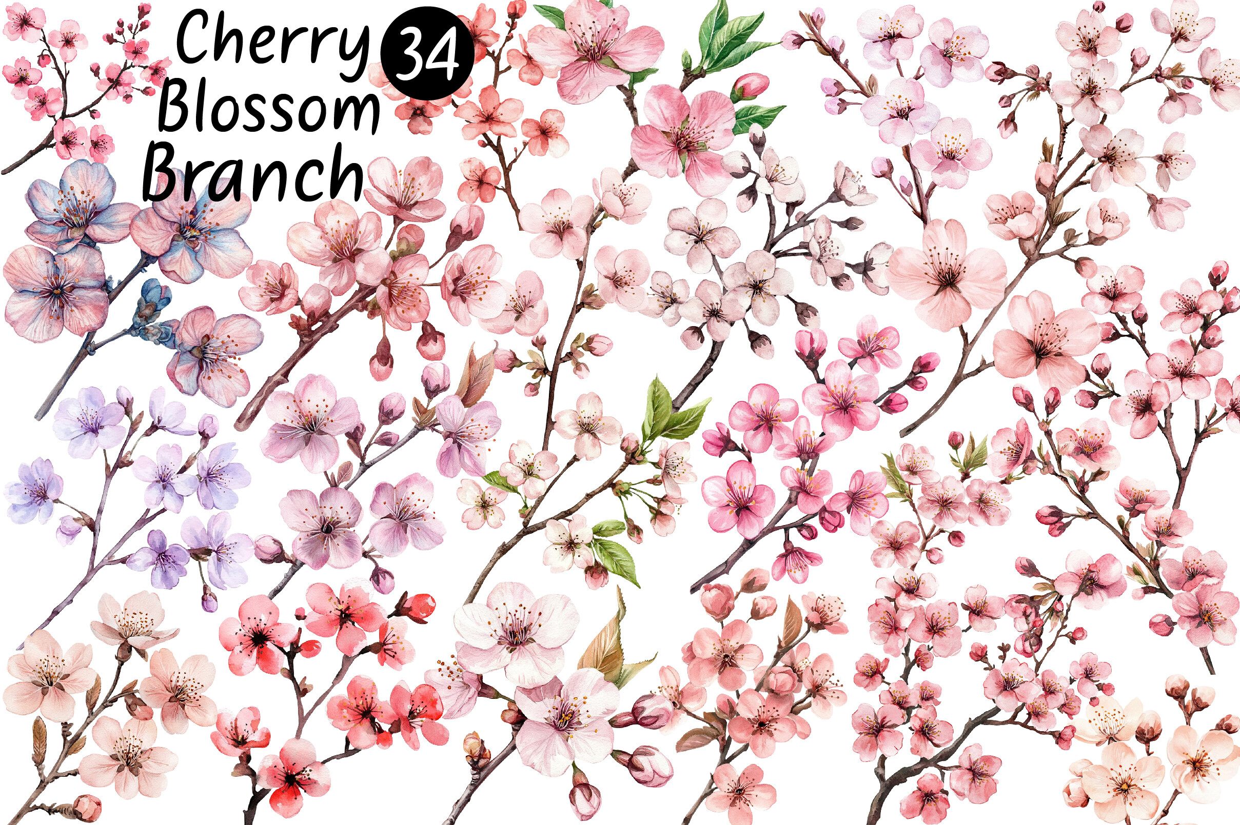 Cherry Blossom Branch Clipart