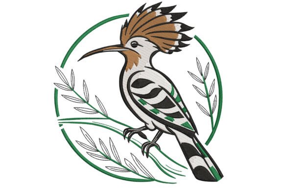 Hoopoes Bird