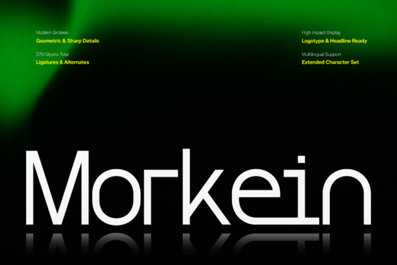 Morkein Geometric