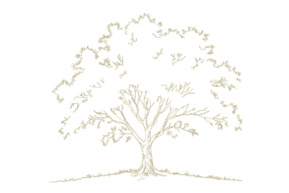 Tree Sketch Outline