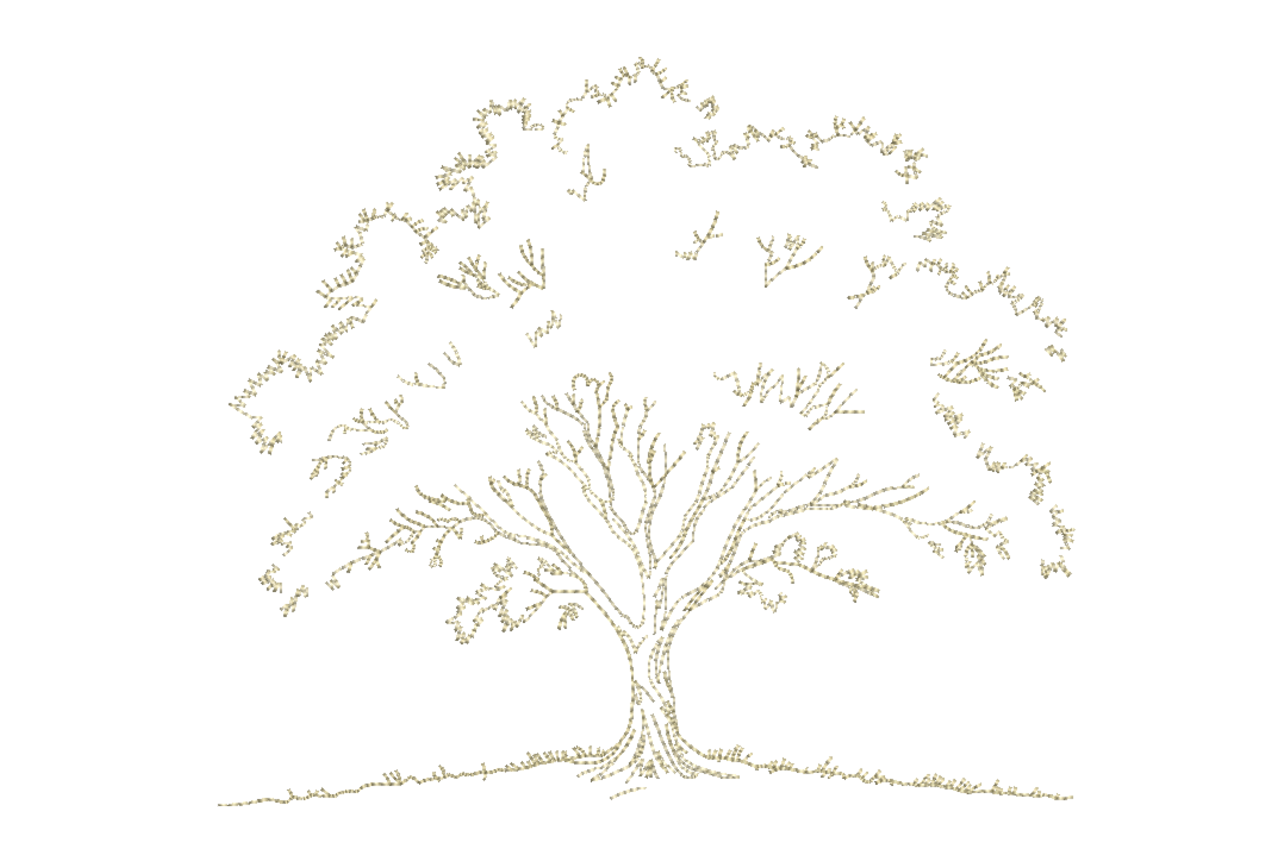 Tree Sketch Outline