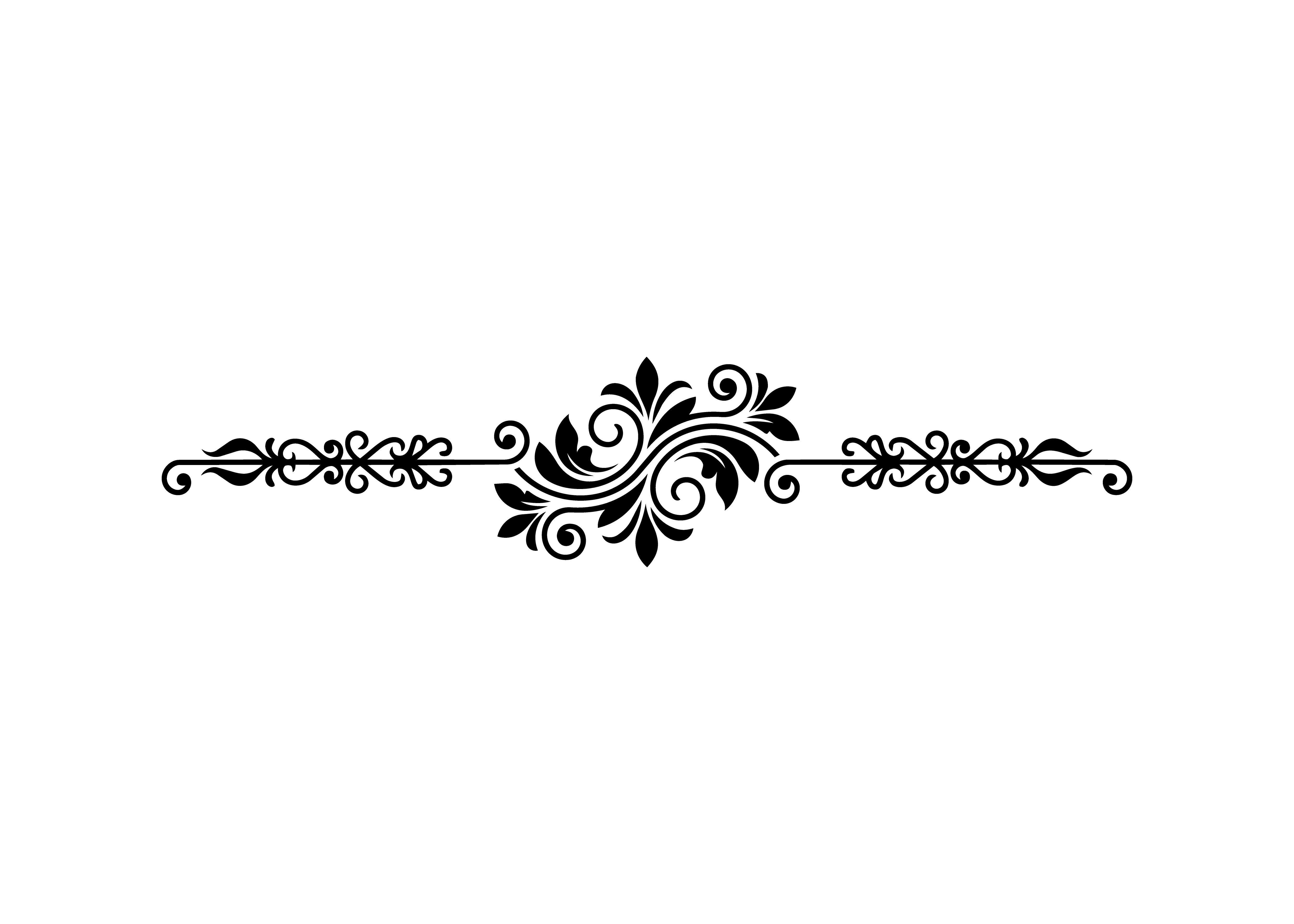 Elegant Divider