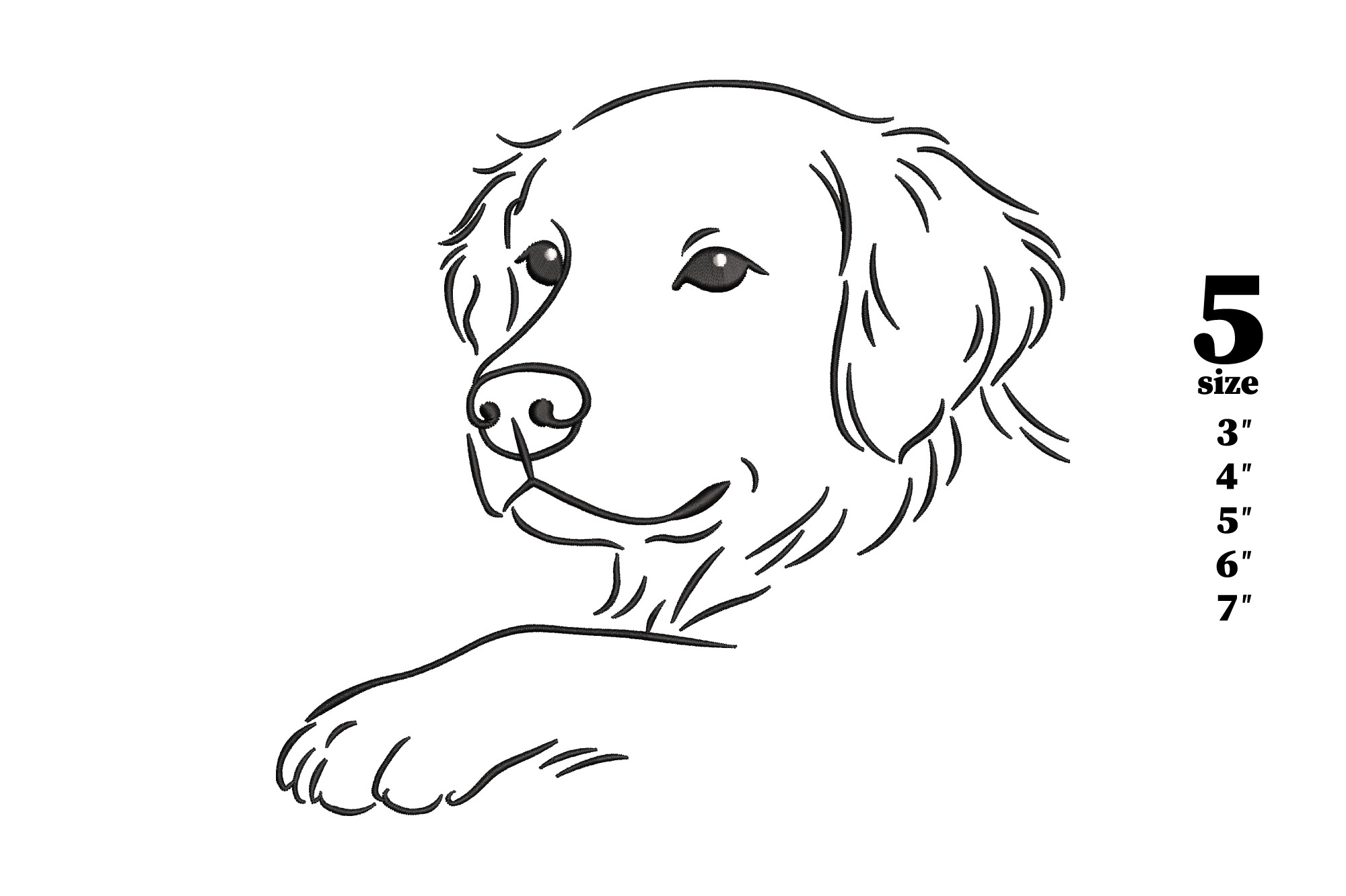 Golden Retriever Dog