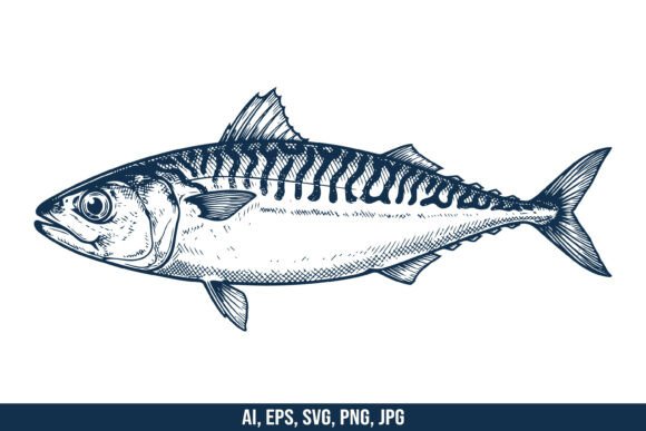 Mackerel Fish SVG Vector