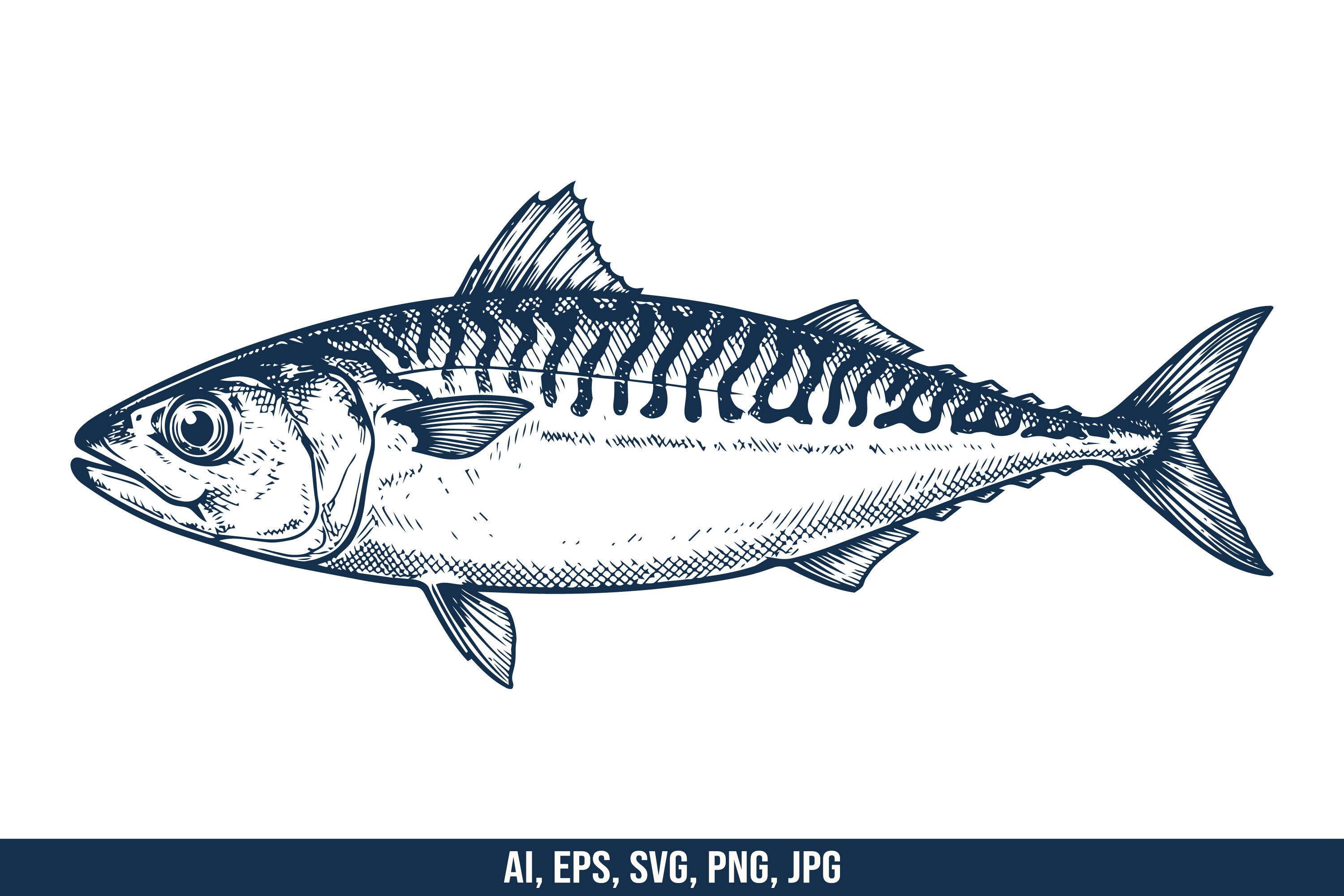 Mackerel Fish SVG Vector
