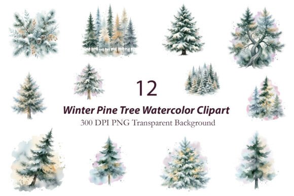 Winter Pine Tree Watercolor Clipart Graphics