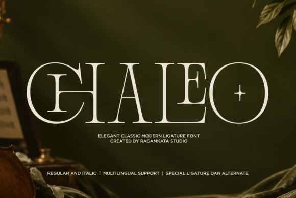 Chaleo