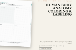 Human Body Anatomy Coloring & Labeling Graphic by Healers Hub co ...