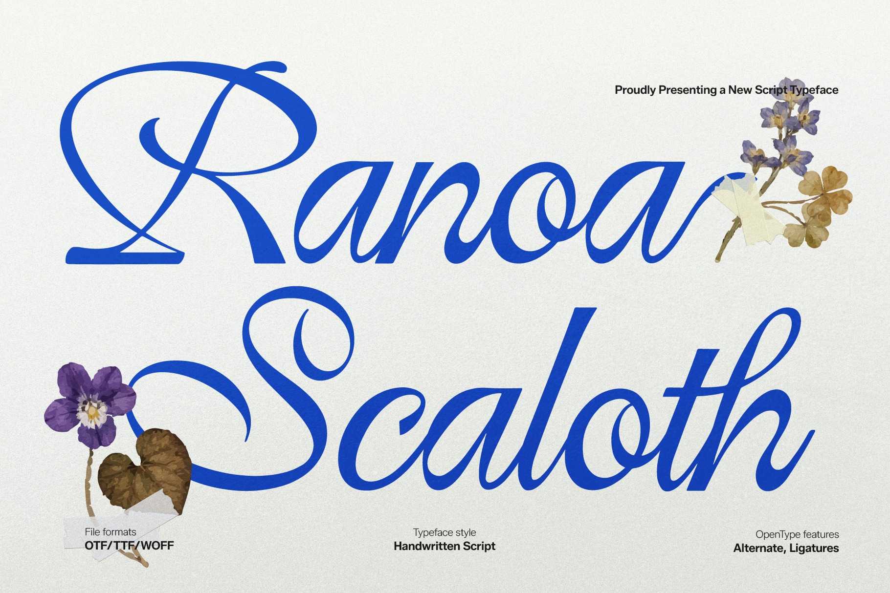 Ranoa Scaloth