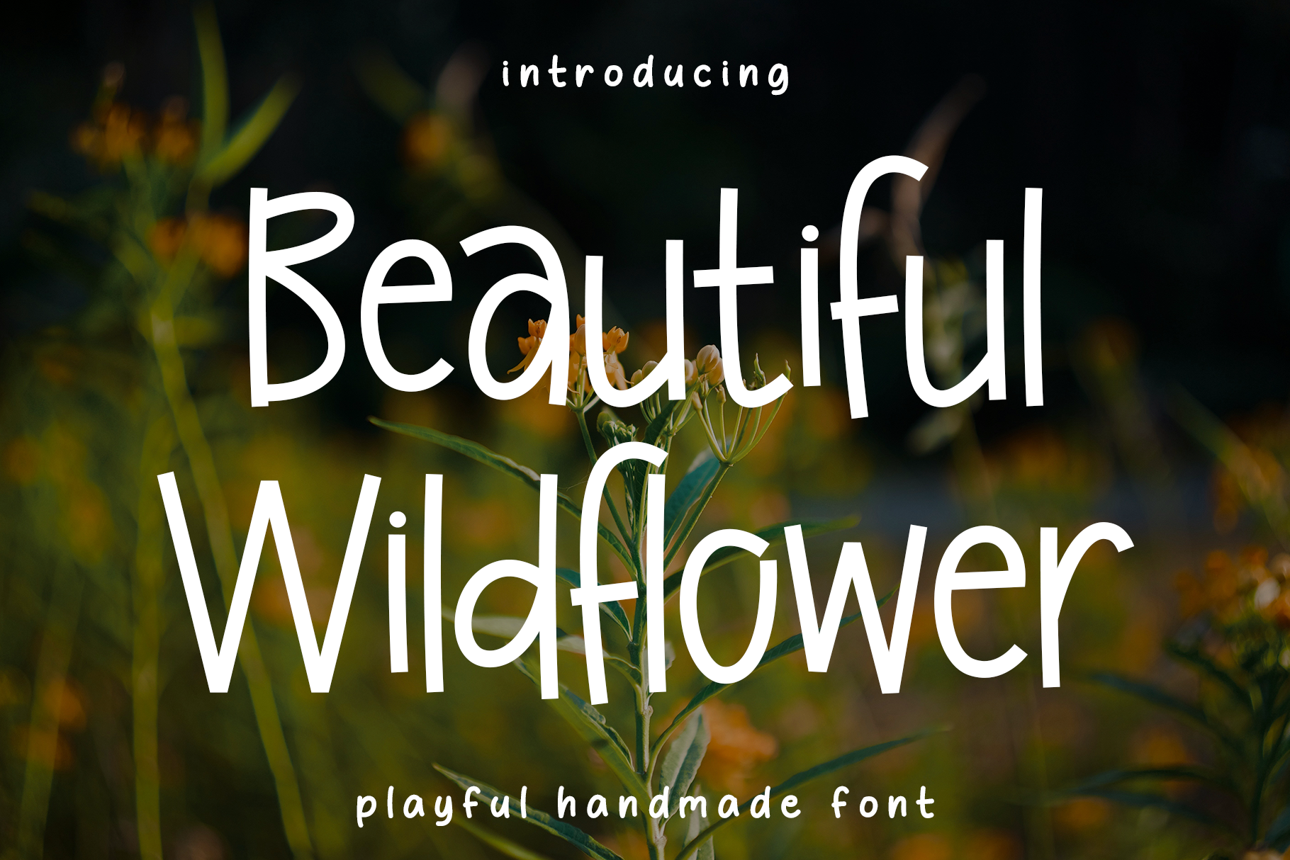 Beautiful Wildflower