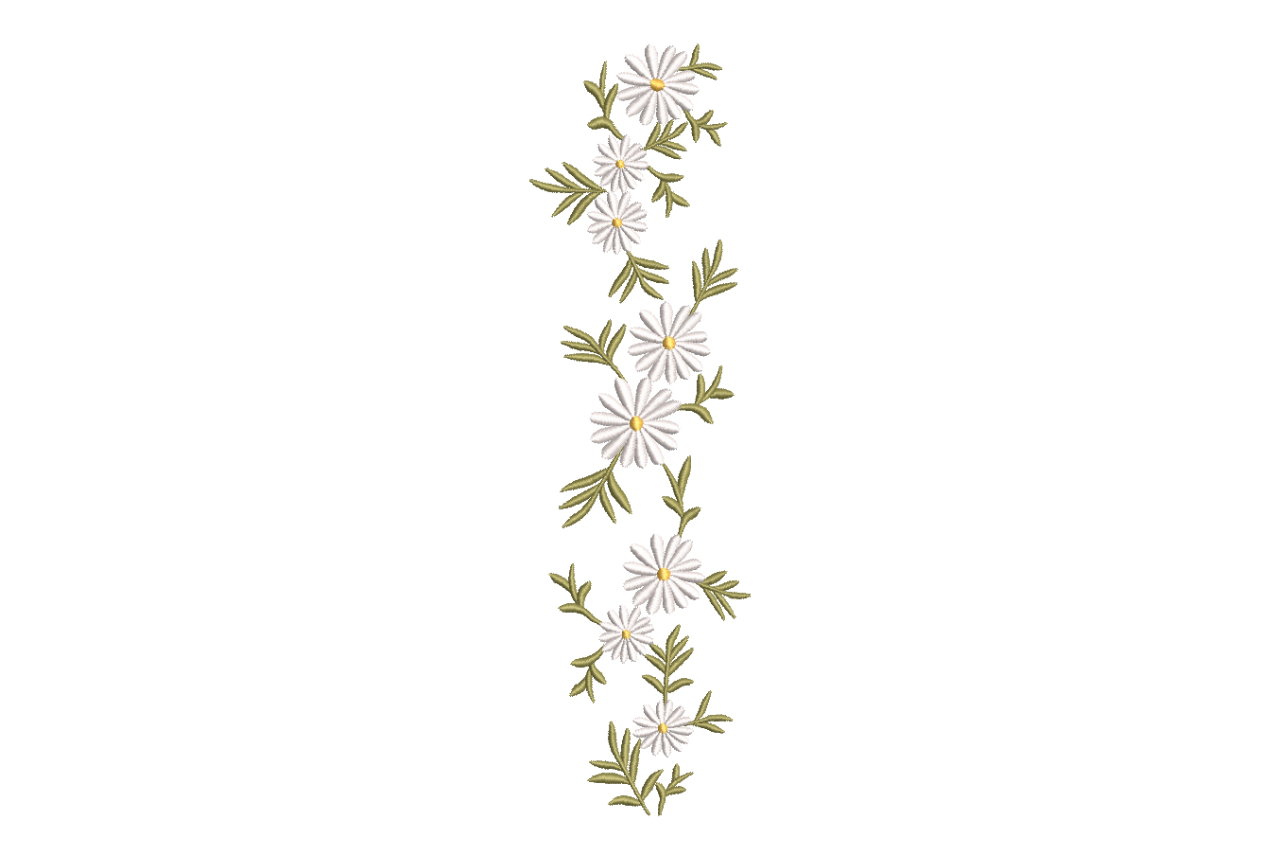 White Daisy Floral Border