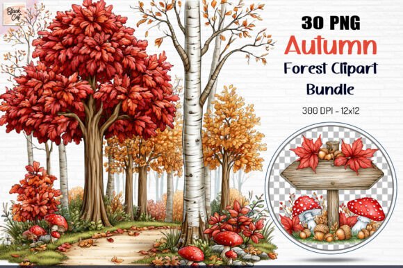 Autumn Forest Clipart Bundle PNG