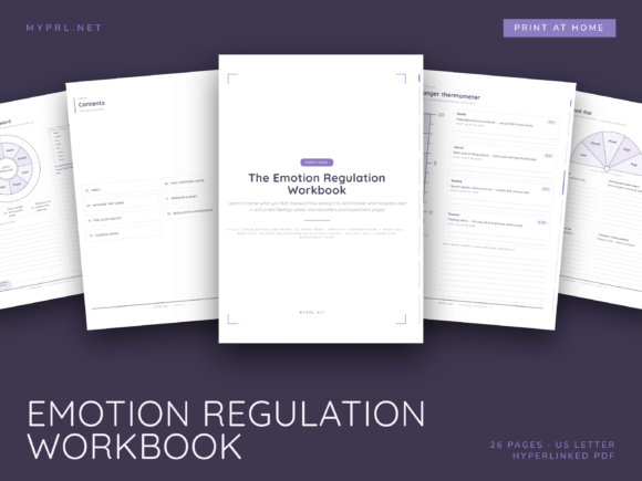 Emotion Regulation Workbook