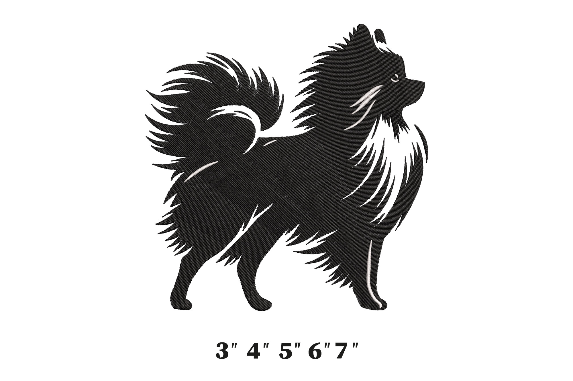 Fluffy Pomeranian Dog