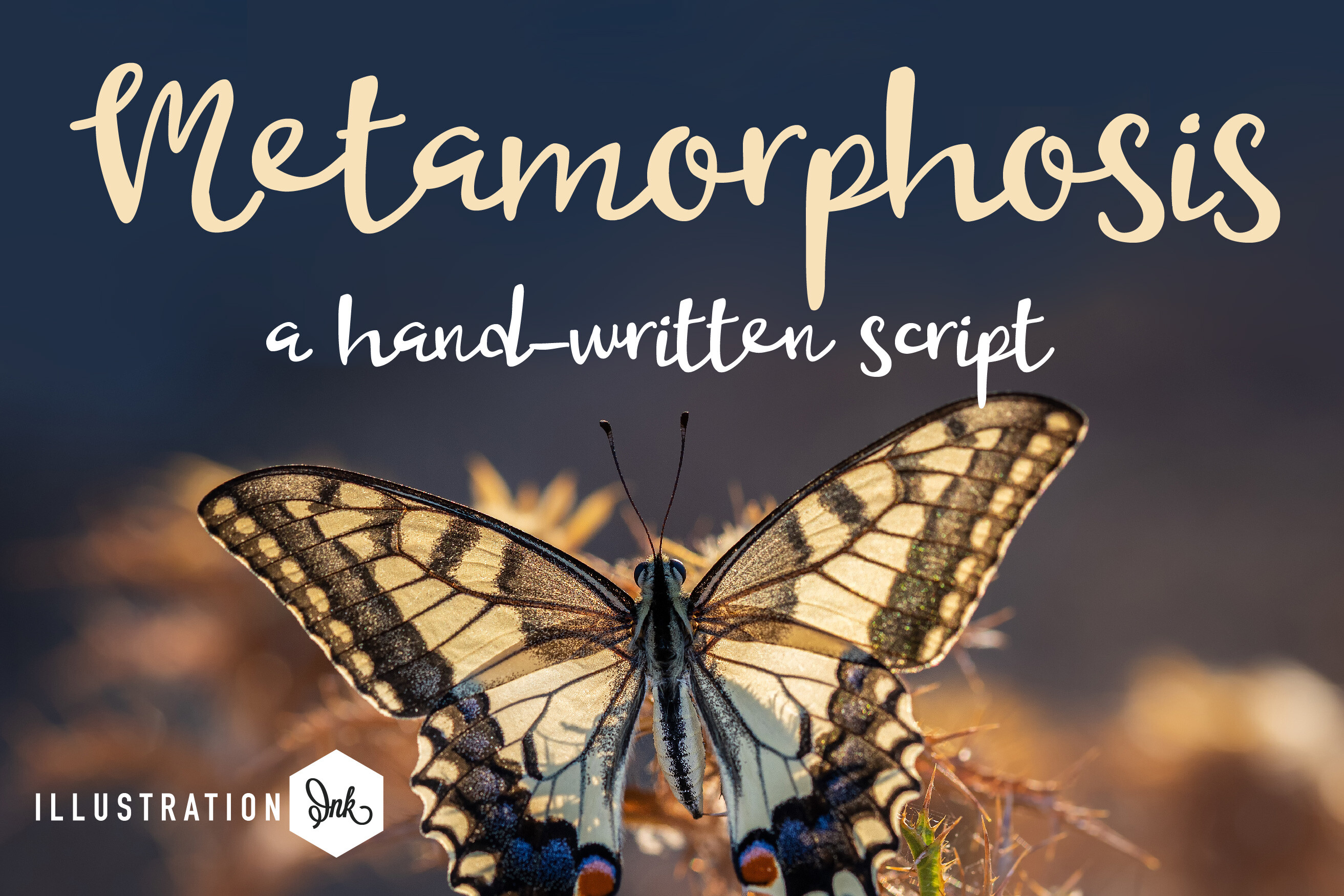 Metamorphosis