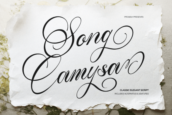 Song Camysa Fonts