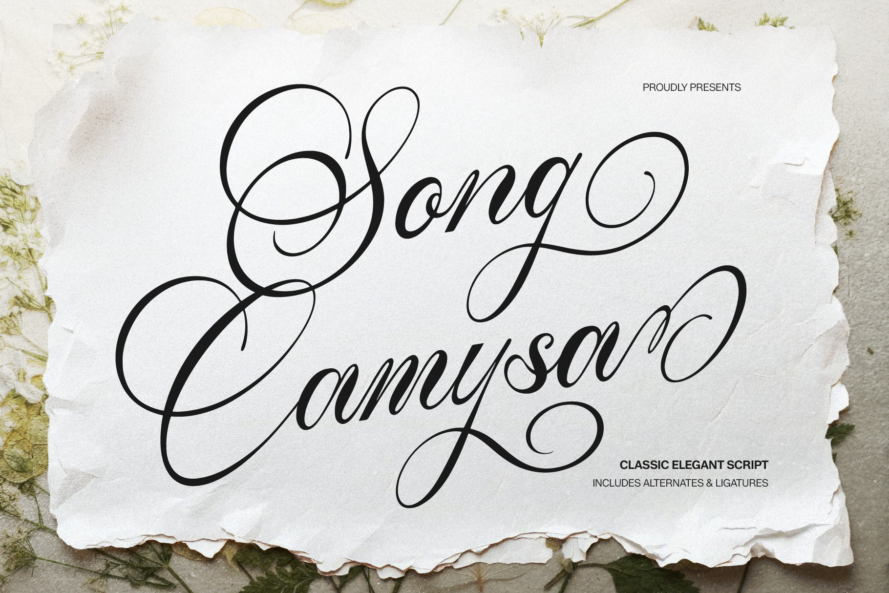 Song Camysa preview, flowing script typeface