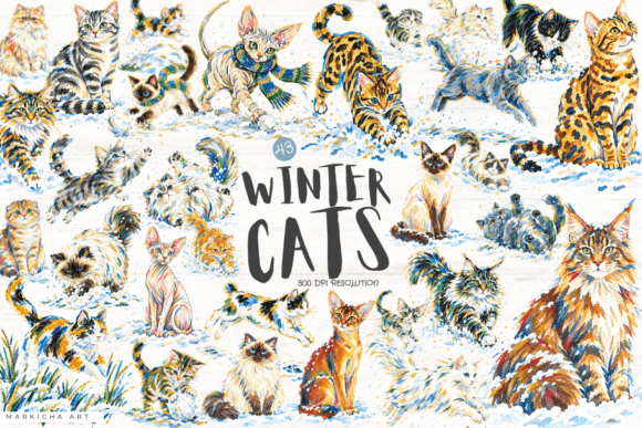 Winter Cats Clipart Graphic AI Illustrations By Markicha Art