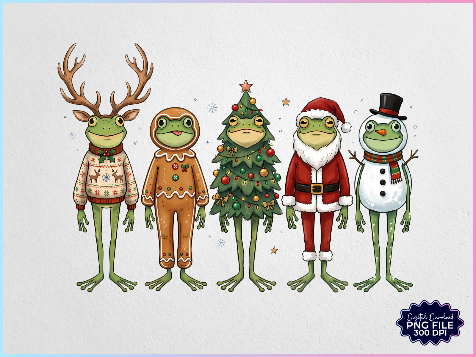 Christmas Frog PNG