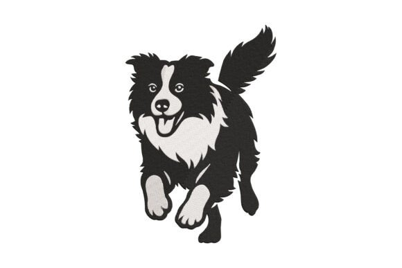 Joyful Border Collie Dog