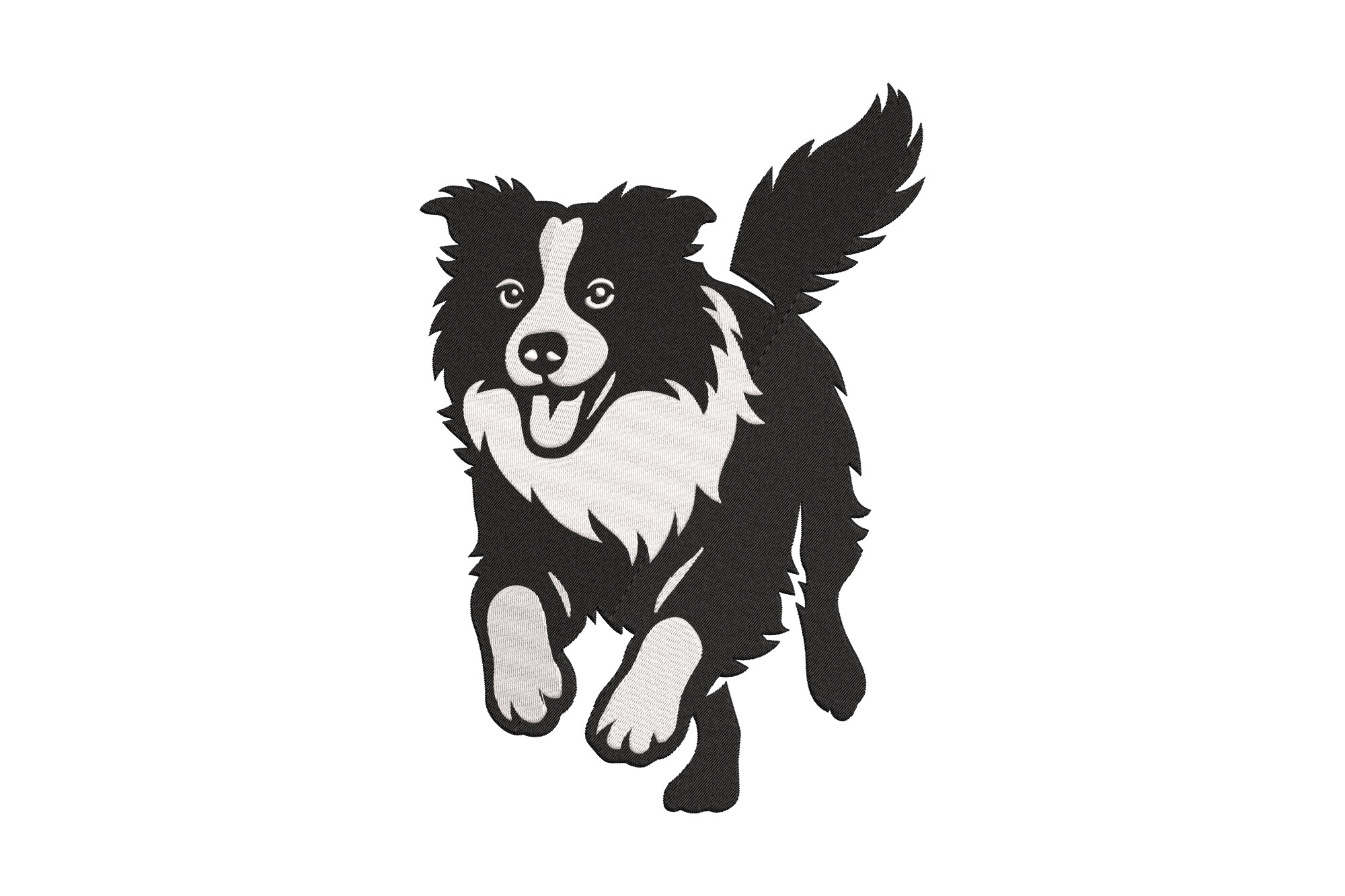 Joyful Border Collie Dog