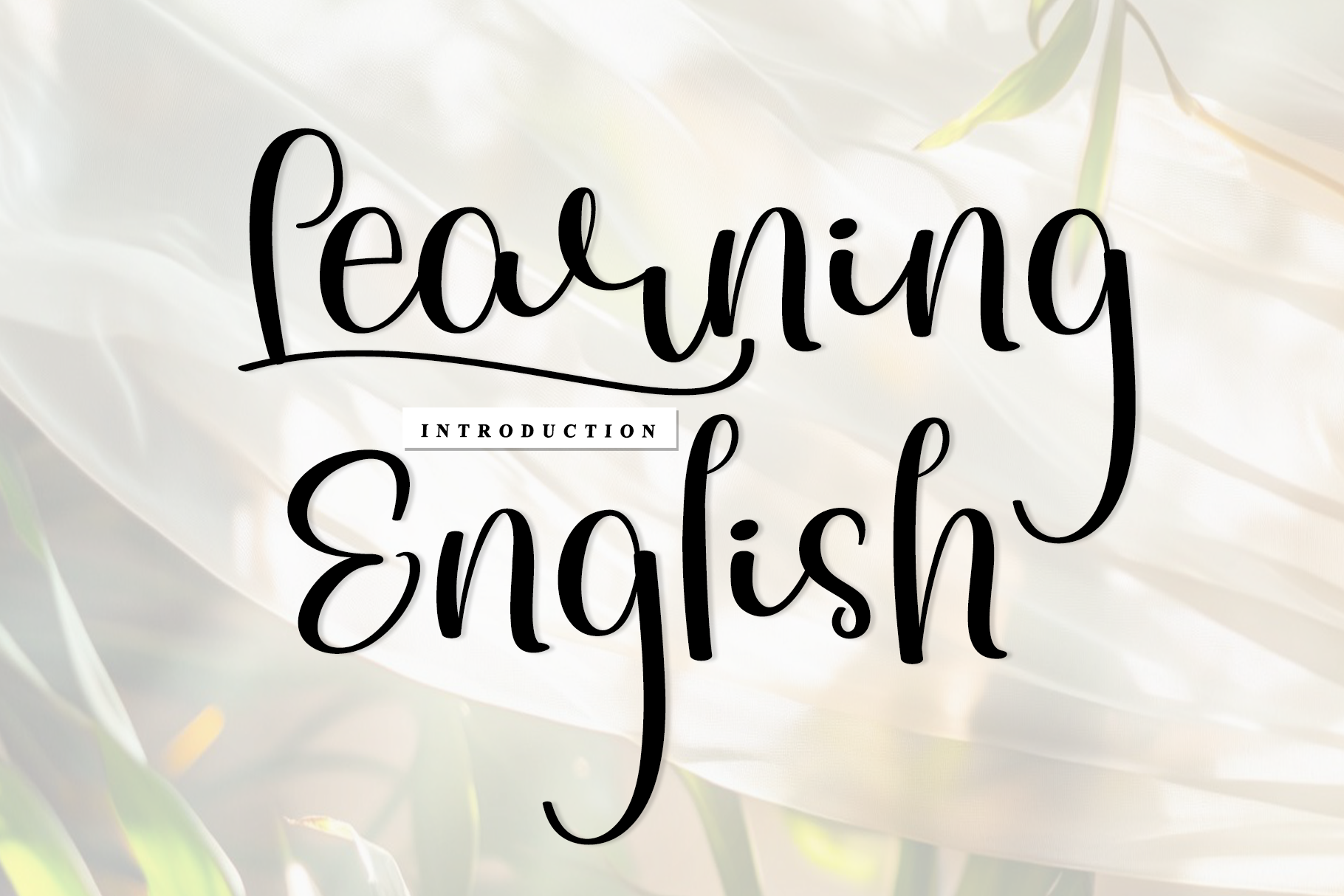 Learning English