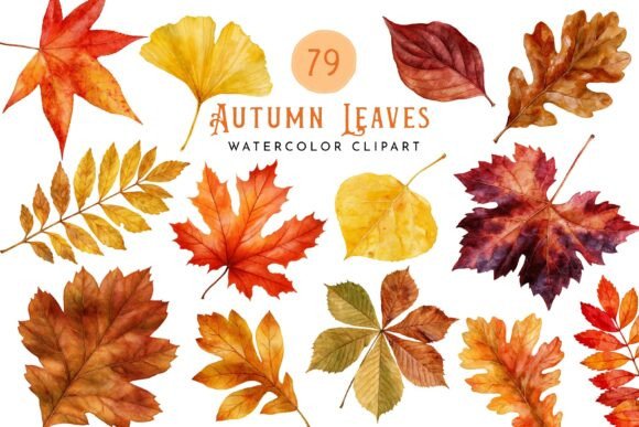 Autumn Leaves Watercolor Clipart
