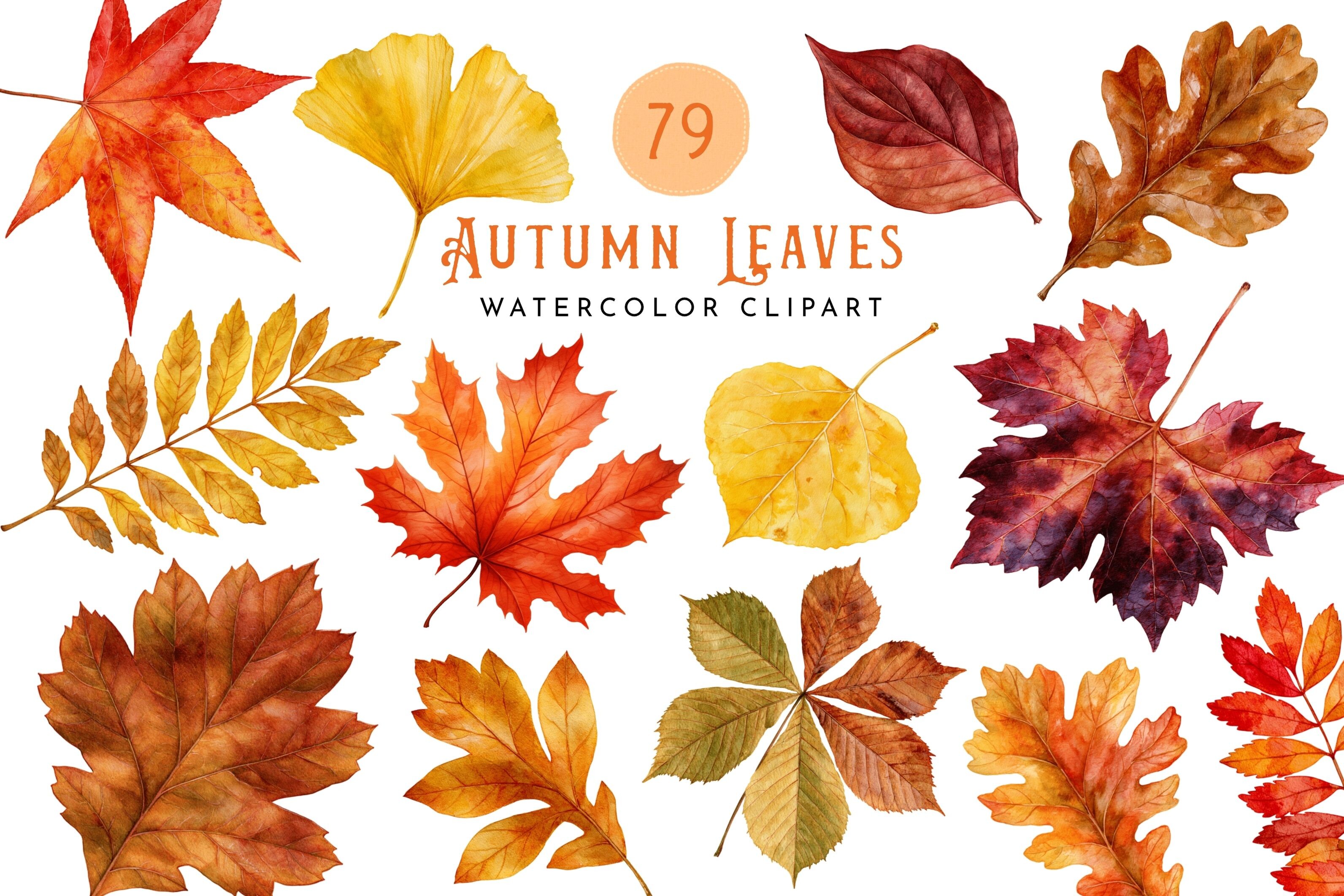 Autumn Leaves Watercolor Clipart