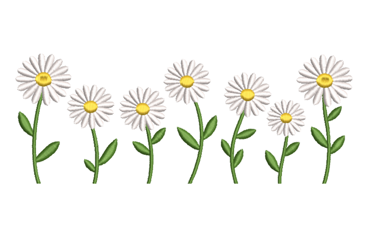 Daisy Border