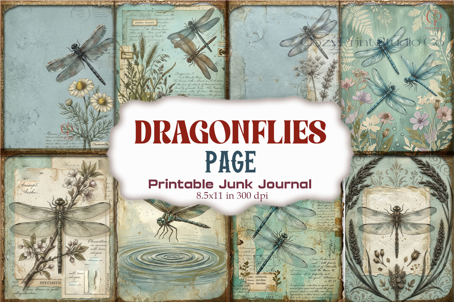 Dragonflies Botanical Nature Journal