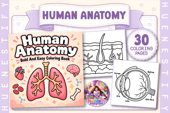 Human Anatomy Coloring Book
