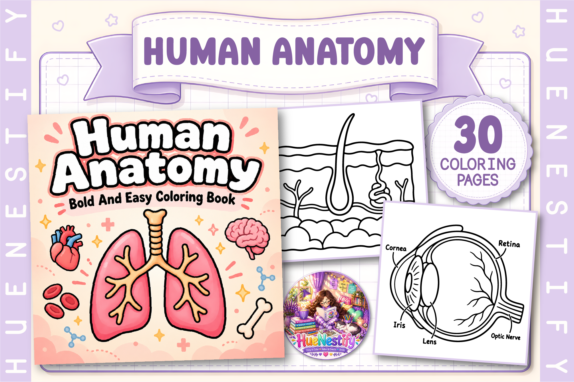 Human Anatomy Coloring Book