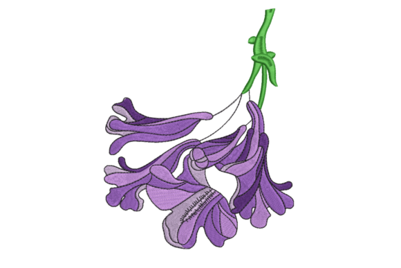 Purple Honeysuckle Flower