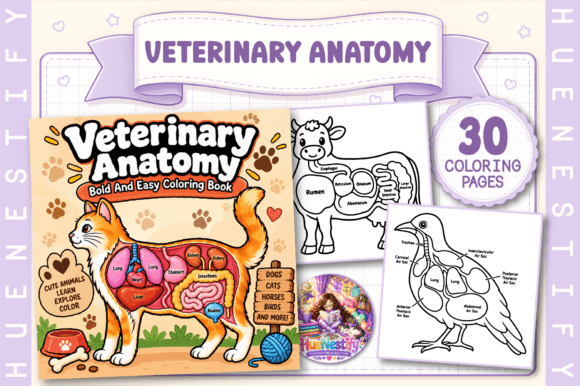 Veterinary Anatomy Coloring Book