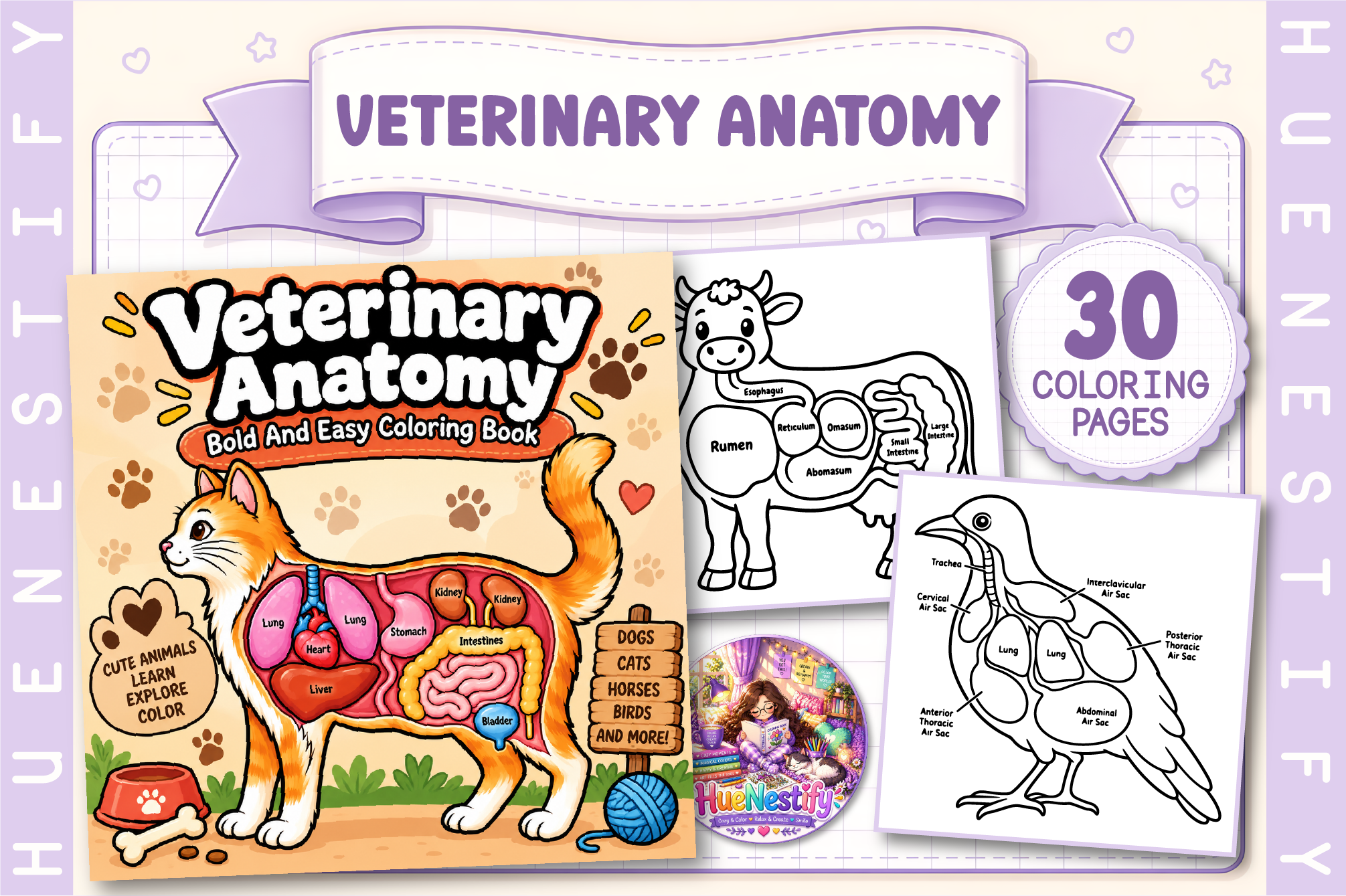 Veterinary Anatomy Coloring Book