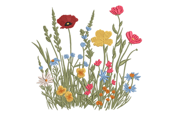 Wildflower Meadow