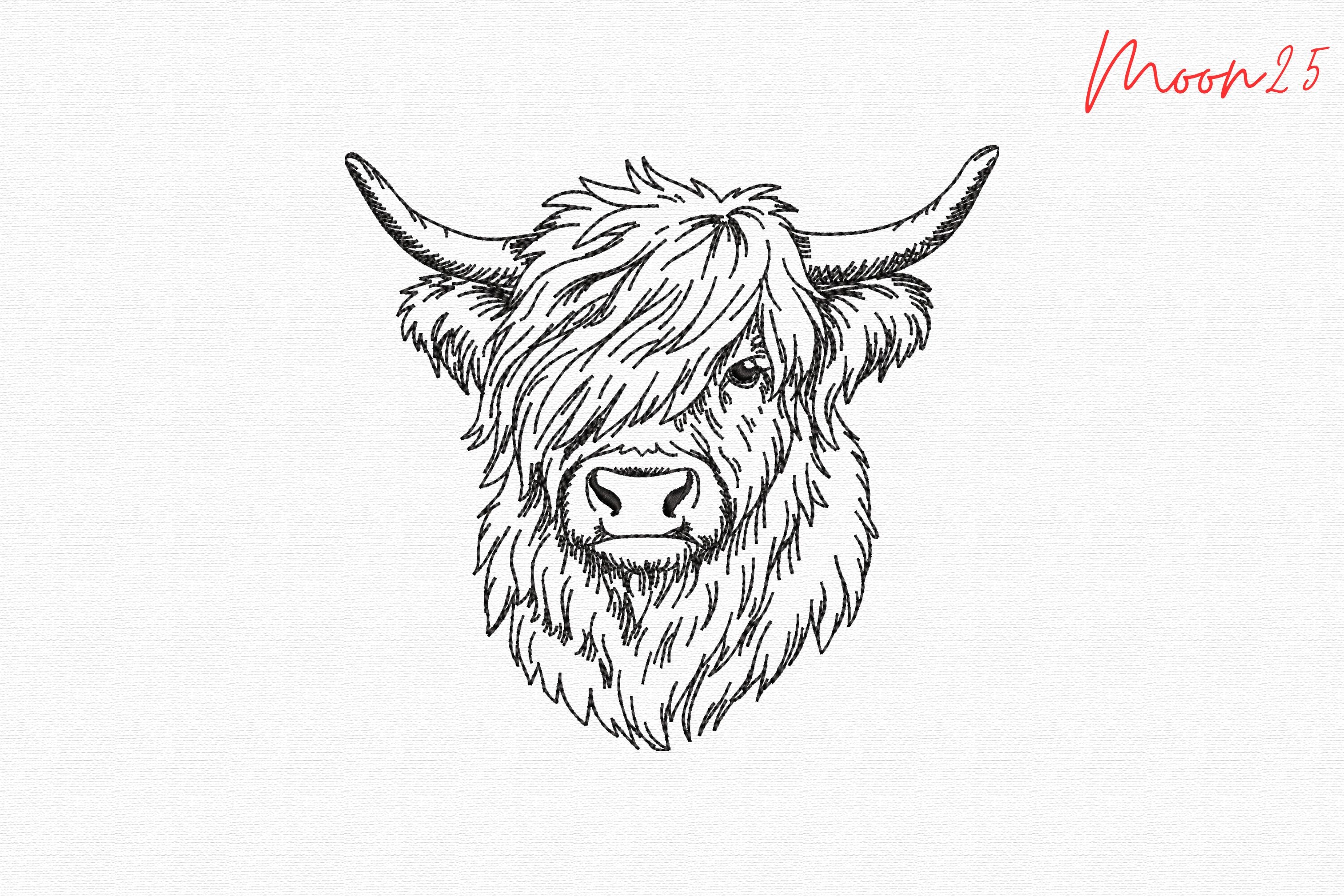 Highland Cow