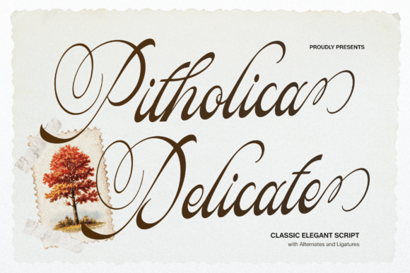 Pitholica Delicate Font - Lettering Fonts