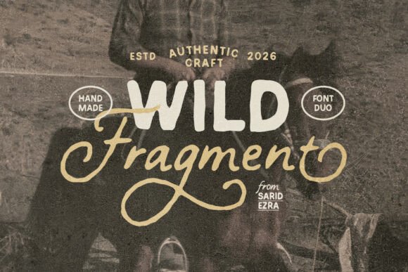 Wild Fragment Sans Serif Font By saridezra